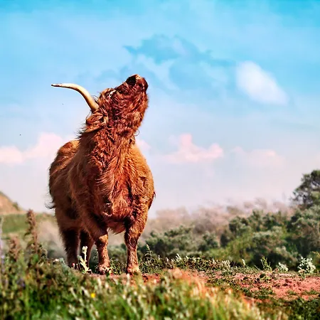 Fletcher Hotel-restaurant Teugel Uden-veghel אודן